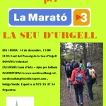 Marcha Nórdica en la Seu d’Urgell, por la Marató de TV3